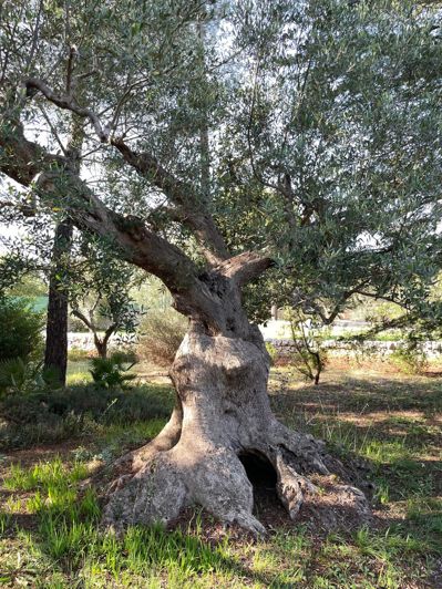 Image No.34-3 Bed Property for sale