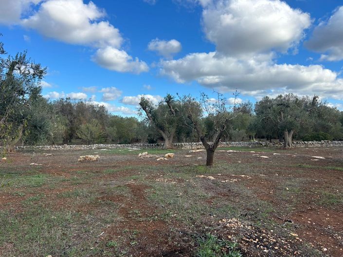 Image No.12-2 Bed Property for sale