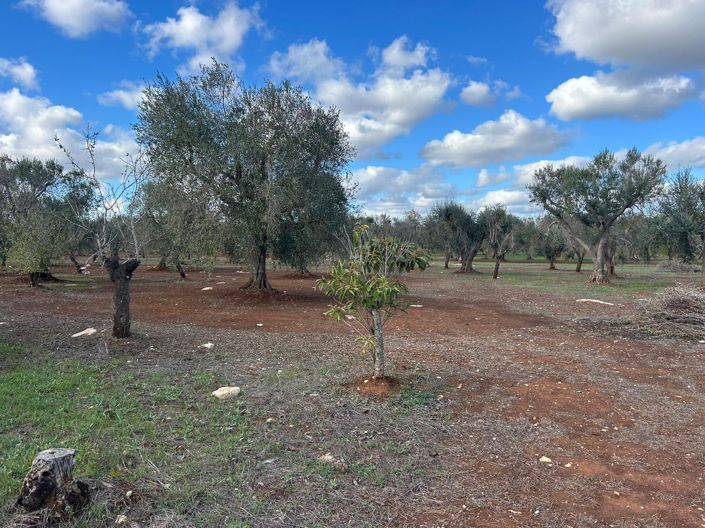 Image No.10-2 Bed Property for sale