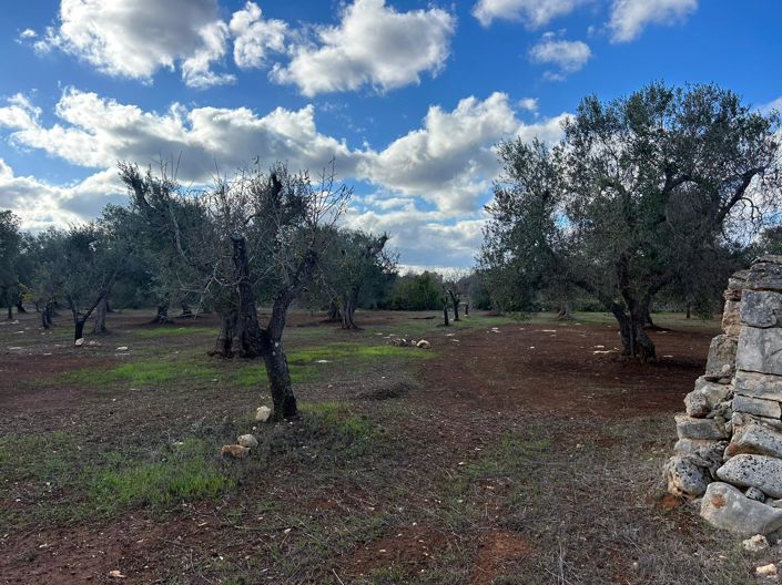 Image No.11-2 Bed Property for sale