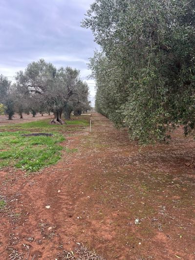 Image No.7-2 Bed Property for sale