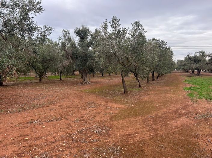 Image No.9-2 Bed Property for sale