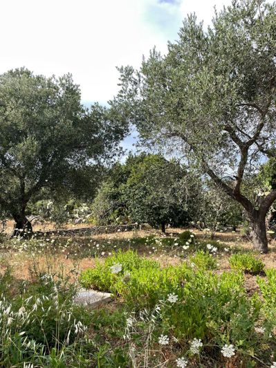 Image No.17-2 Bed Farmhouse for sale