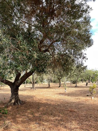 Image No.18-2 Bed Farmhouse for sale