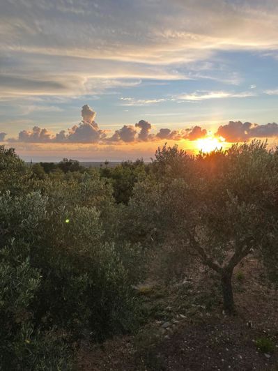 Image No.20-2 Bed Farmhouse for sale