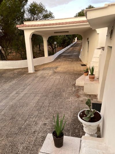 Image No.6-2 Bed Farmhouse for sale