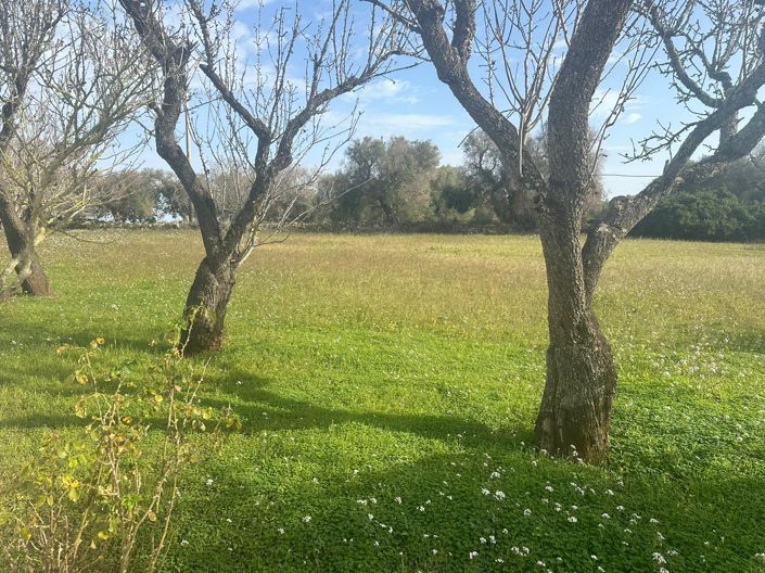 Image No.11-2 Bed Property for sale