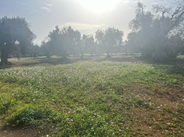 Image No.12-2 Bed Property for sale