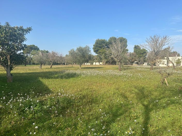 Image No.13-2 Bed Property for sale