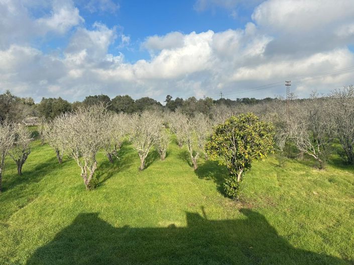 Image No.9-2 Bed Property for sale