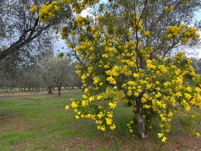 Image No.5-2 Bed Property for sale