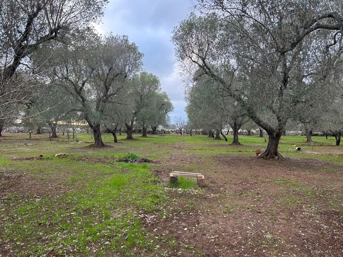 Image No.7-2 Bed Property for sale