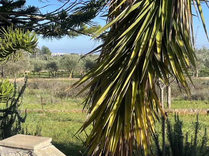 Image No.22-2 Bed Property for sale