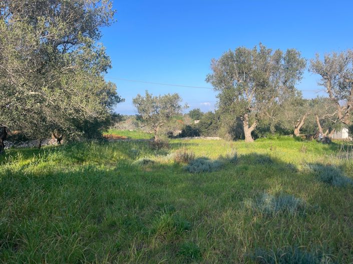 Image No.35-2 Bed Property for sale