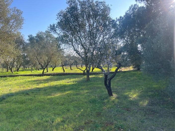 Image No.36-2 Bed Property for sale