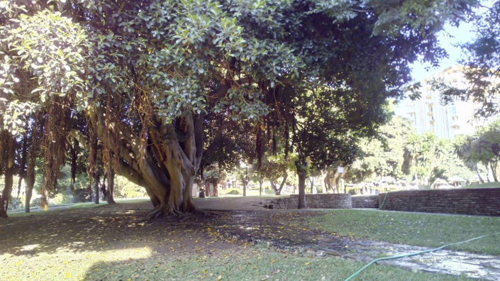 Image No.14-Studio for sale