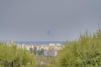 33-f37a7fab00fce6ff6b895520b67d6d6d