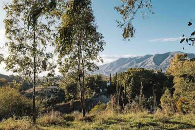 15-11d12f2f454f2f5e9b981fdd8b901d51