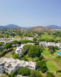 12-9d2414e6554ff283a7dbb3894364f2bd