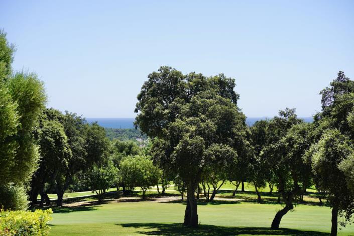 Image No.34-5 Bed Villa / Detached for sale