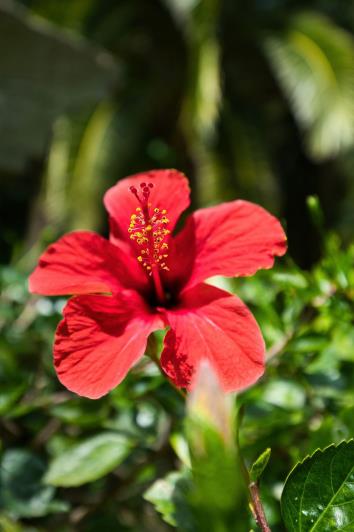 Image No.31-2 Bed Apartment for sale