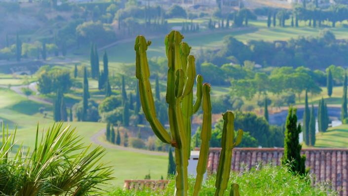 Image No.36-2 Bed Apartment for sale