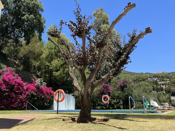 Image No.29-2 Bed Apartment for sale