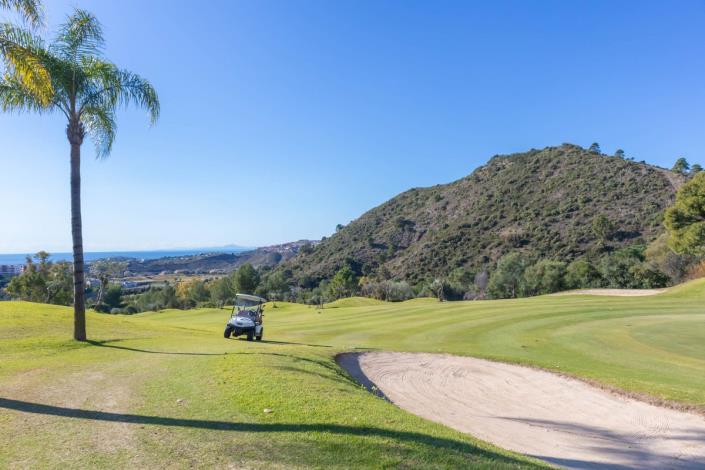 Image No.12-2 Bed Duplex for sale