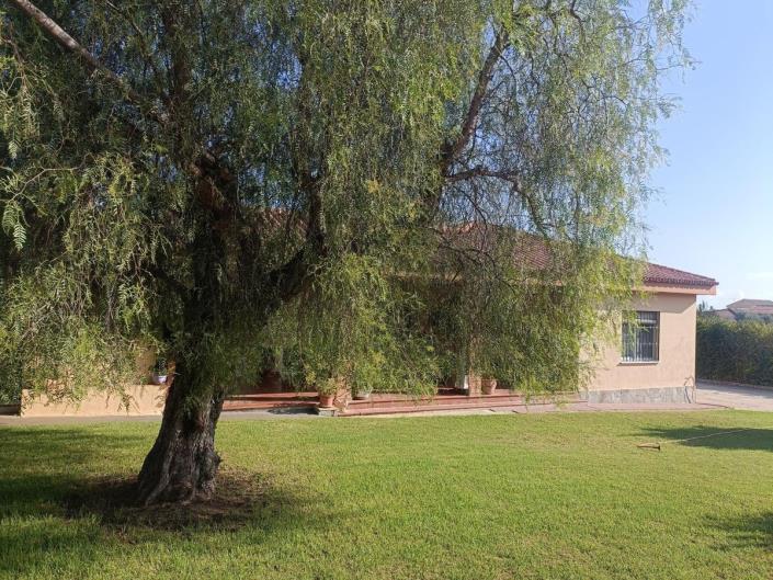 Image No.17-4 Bed Finca for sale