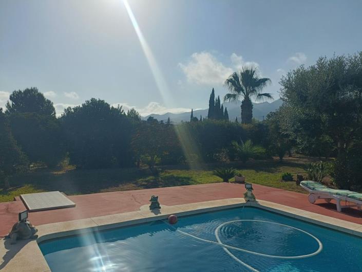 Image No.37-4 Bed Finca for sale