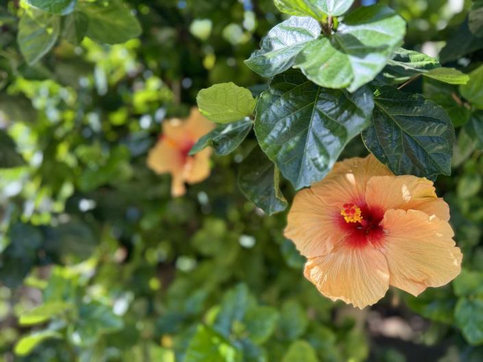 Image No.31-2 Bed Apartment for sale