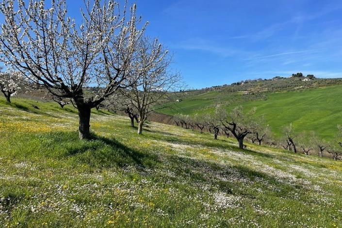 Image No.2-3 Bed Country House for sale