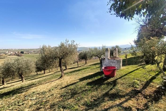 Image No.56-5 Bed Farmhouse for sale