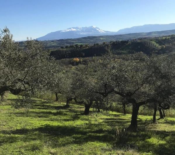 Image No.2-5 Bed Farmhouse for sale