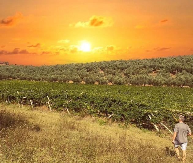 Image No.7-5 Bed Farmhouse for sale