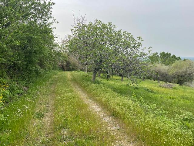 Image No.24-6 Bed House/Villa for sale