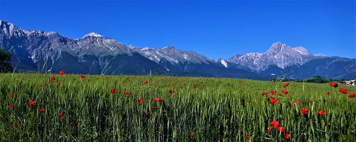 Image No.35-3 Bed Villa / Detached for sale