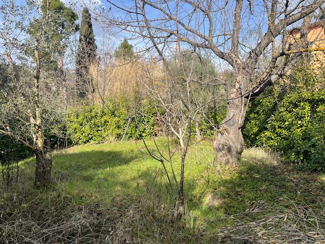 Image No.4-3 Bed Country House for sale