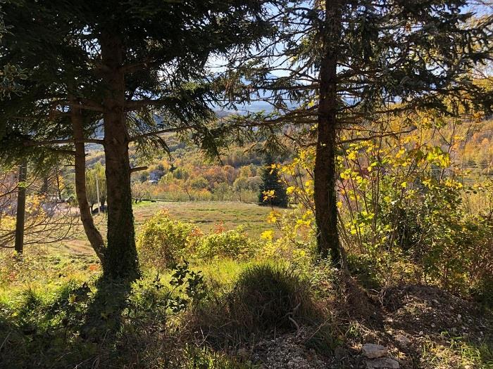 Image No.17-2 Bed Country House for sale