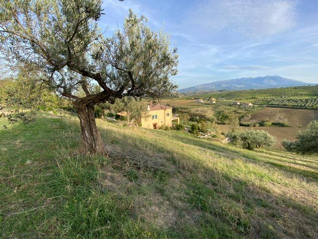 Image No.3-4 Bed Country House for sale