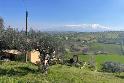 1187_11032025145148400