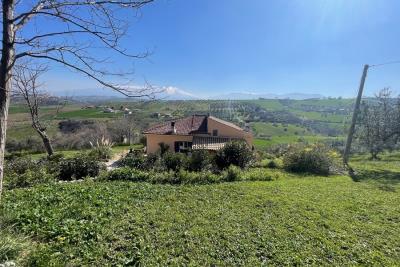 1187_11032025150739404