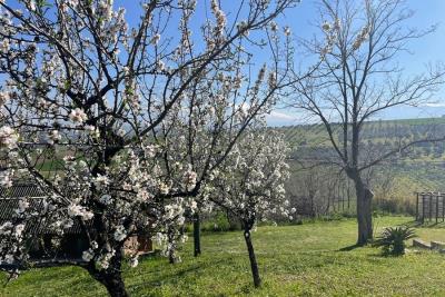 1187_11032025150739403