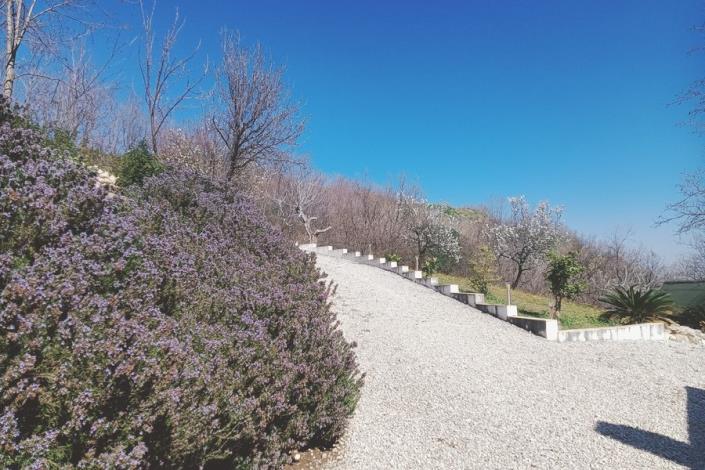 Image No.55-4 Bed Country House for sale