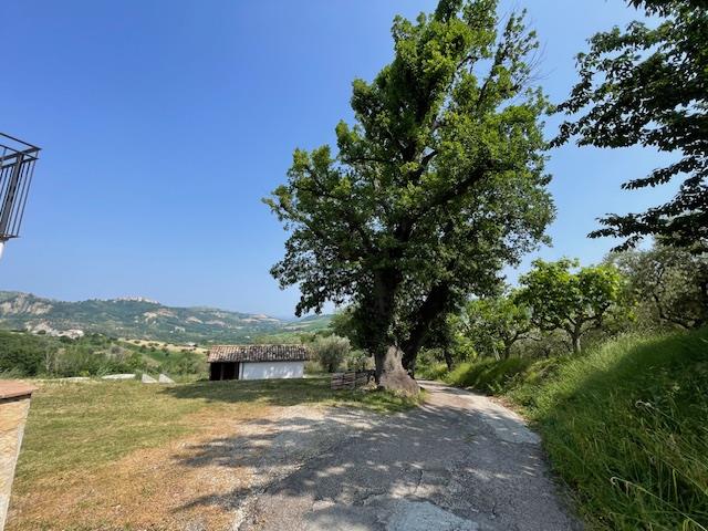 Image No.17-3 Bed Country House for sale