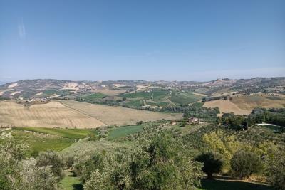 1208_10092025121639405