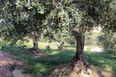 1208_10092025121639410