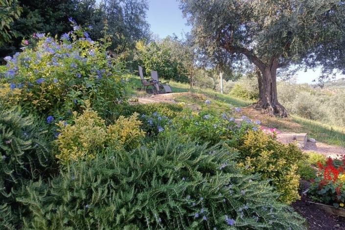 Image No.45-2 Bed Country House for sale