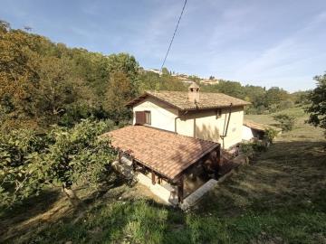 1211_16102025180349404