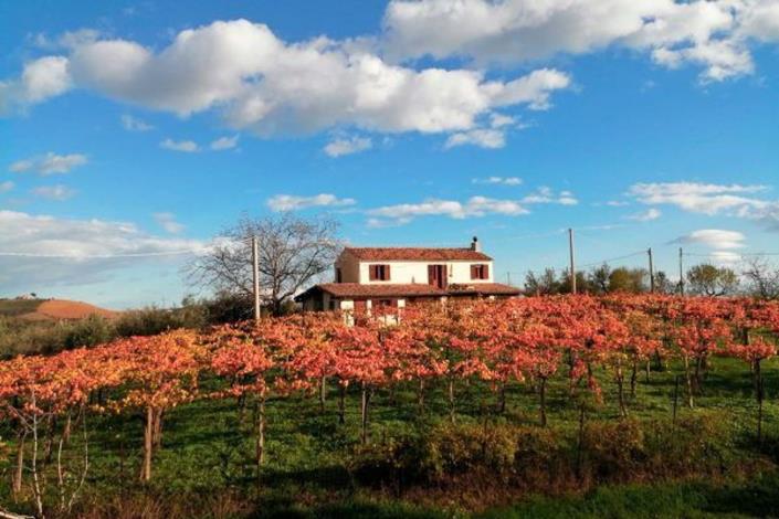 Image No.2-2 Bed Country House for sale